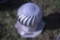 Roof Ventilator