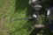 Trailer dolly