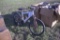 Mongoose Mountain Bike