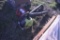 2 Leaf Blowers