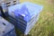 6 Blue plastic pallets