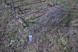 Tomato Cages