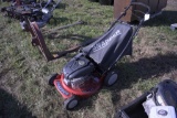 Snapper 21