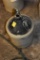 5 Gallon Jug