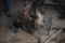 Water Pump with a Briggs and Stratton 3 HP motor