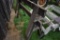 pair of Saw Horses