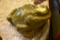 Large Porcelain Toad