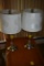 Two Lamps with Stainless Style Stands