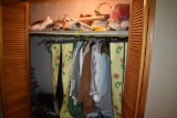Closet of contents including books clothes