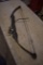 PSE Compound Bow