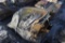 Pallet of Appliance Parts