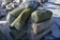 Pallet of Carpet Pieces