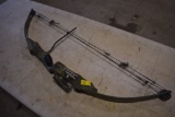 Precision Shooting Equipment Compound Bow