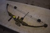 Bear  Compound Bow