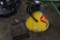 Frontier SS2036B Broadcast Seeder