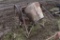 Electric Mortar Concrete Mixer