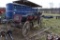 6 Seat Buck Board Wagon