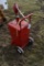 50 Gallon Gas Caddy
