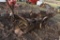 Pull Type Potato Picker