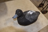 Wood Duck