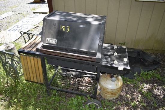 Weber Outdoor Propane Grill