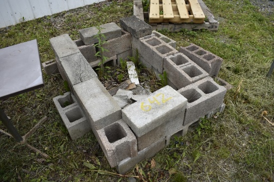 Cinder block Fire Pit