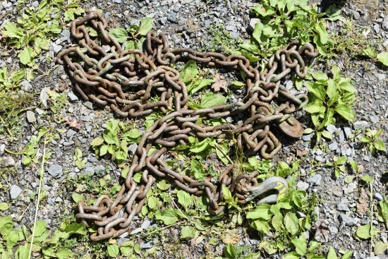 Chain with 2 Hooks