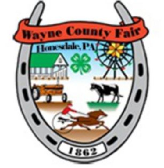 Donation Ring 2 Wayne County 4H Livestock Auction