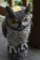 Fake Owl