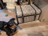 Small Zebra Print Chest