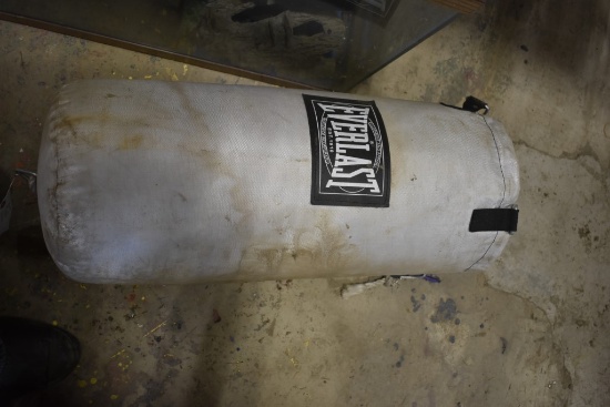 Everlast Punching Bag