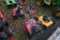 Toro PowerLite 16