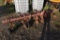 Massey Ferguson 144 13' 3 Point S Tine Cultivator