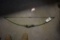 Quik Silver Bow