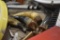 Four Powder Horns