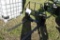 Agrotk Quick Attach Pallet Forks