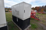 Delta Powergen 25kw Generator