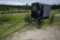 Amish Buggy