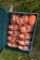 Great Bear 24 Piece Rachet Tie Down in Tool Box
