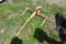 Bucket Mounted Bale Spear