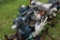 Kubota V3800 Diesel Motor
