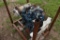Kubota D1803 Diesel Motor