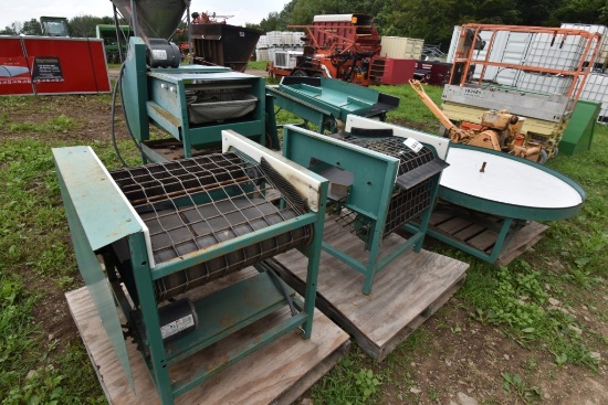 TEW Fruit and Vegetable Processing Machines Apple Sorting Machine