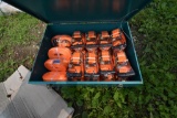 Great Bear 24 Piece Rachet Tie Down in Tool Box