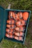 Great Bear 24 Piece Rachet Tie Down in Tool Box