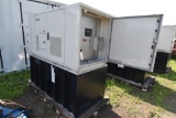 Delta Powergen 25kw Generator