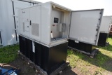 Delta Powergen 25kw Generator
