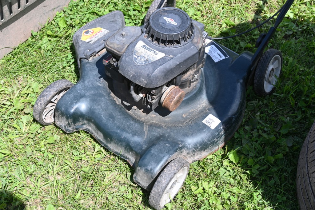 Bolens 21 Push Mower Proxibid