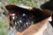 Box of Suspension Parts