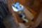 Dishes, Glassware, 2 Rolls of 4x6 Labels
